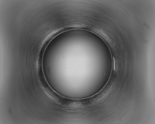 X0000115600252200911101412