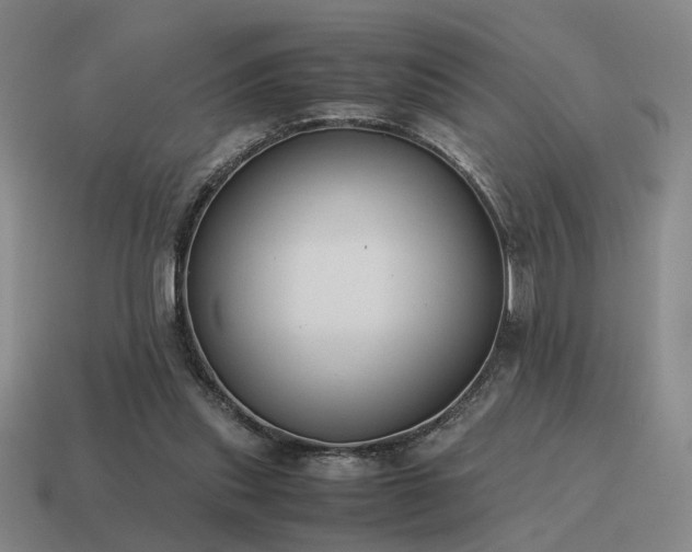 X0000115600253200911101412