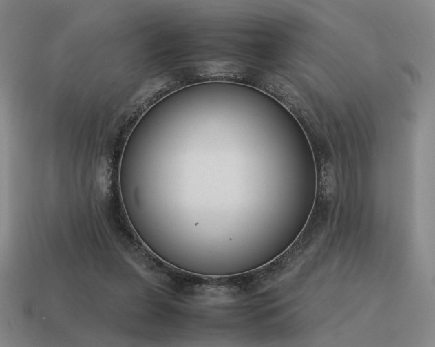 X0000115600255200911101412