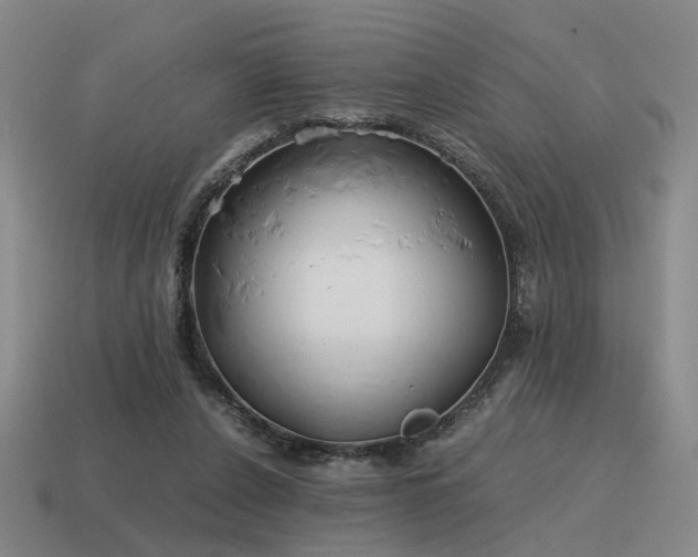 X0000115600256200911101412