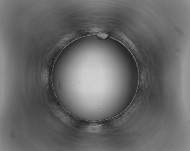 X0000115600257200911101412