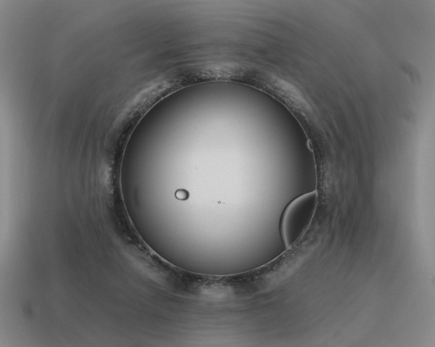 X0000115600258200911101412