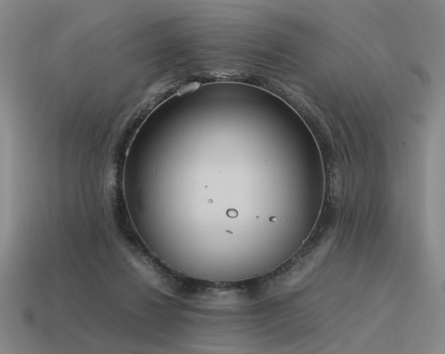 X0000115600260200911101412