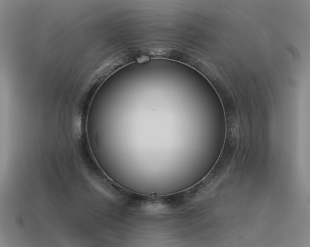 X0000115600262200911101412