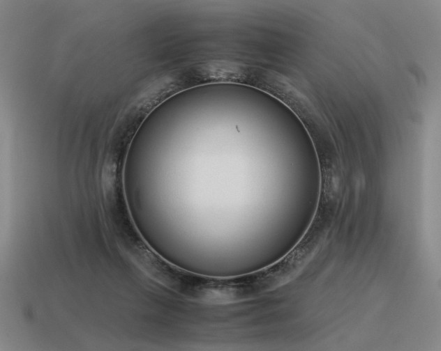 X0000115600263200911101412