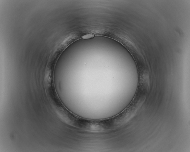 X0000115600264200911101412