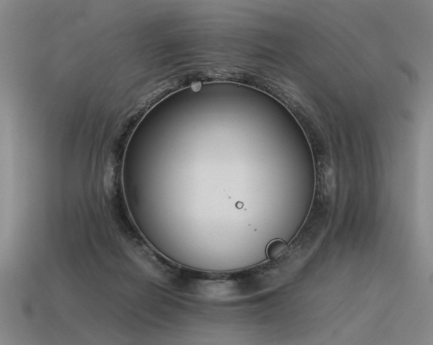 X0000115600266200911101412