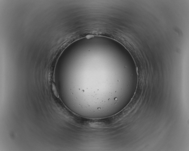 X0000115600268200911101412