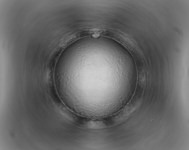 X0000115600270200911101412