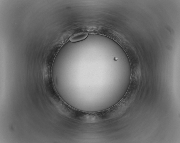 X0000115600272200911101412