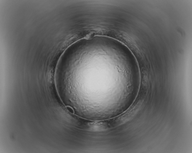 X0000115600273200911101412