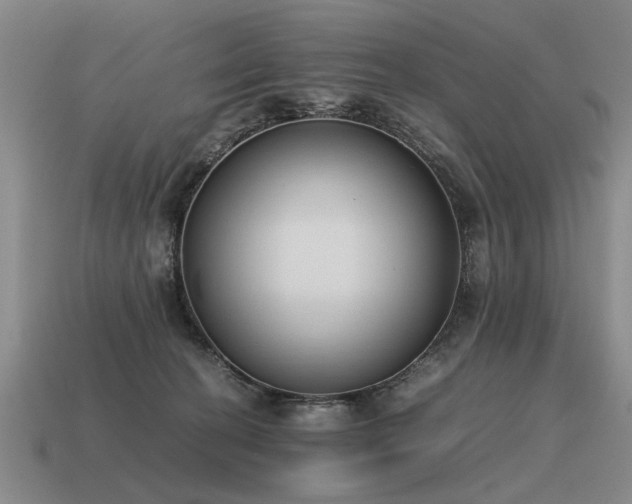 X0000115600274200911101412