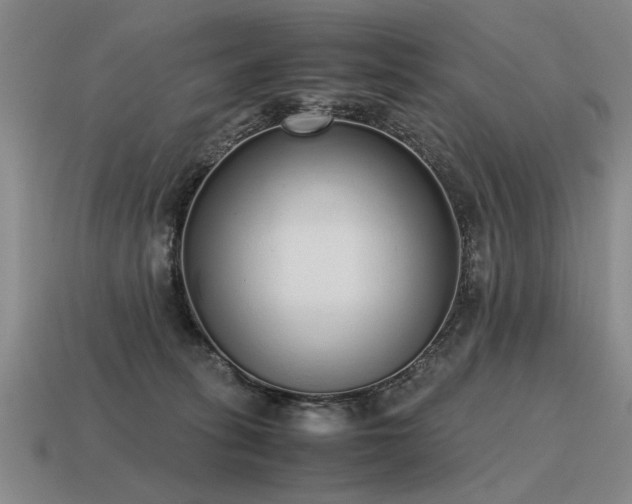 X0000115600275200911101413