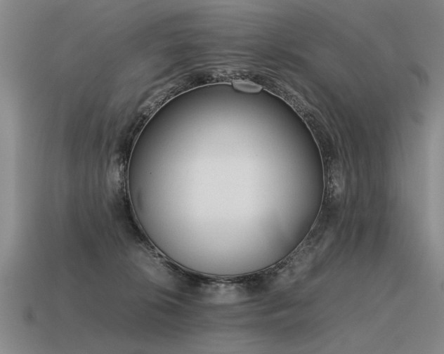 X0000115600276200911101413