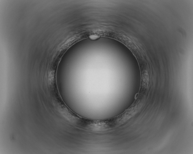 X0000115600278200911101413