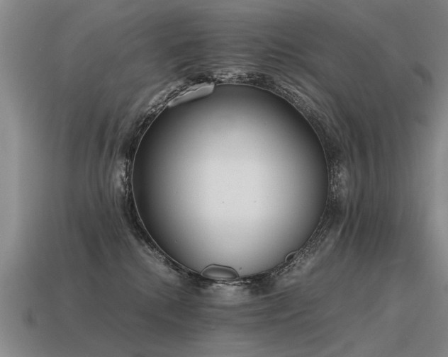 X0000115600280200911101413