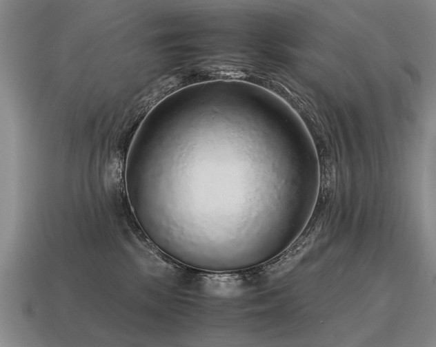 X0000115600281200911101413