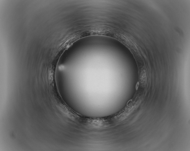 X0000115600282200911101413