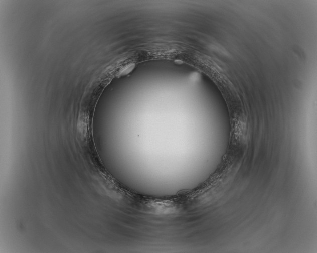 X0000115600283200911101413