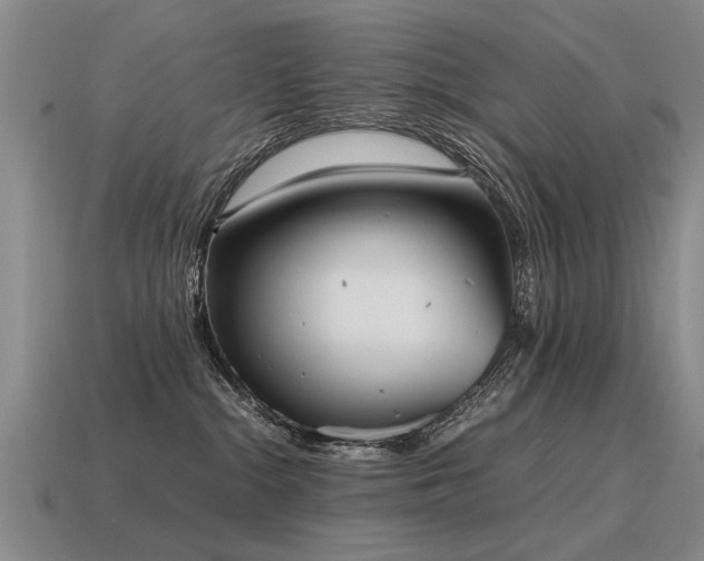 X0000115600284200911101413