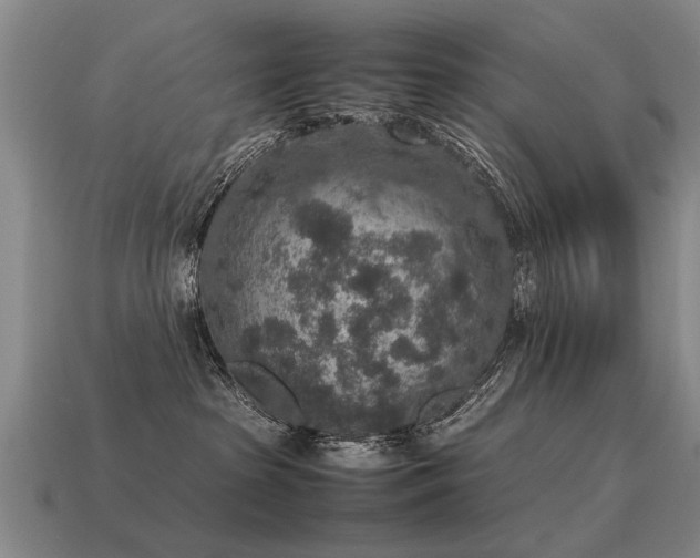 X0000115600285200911101413