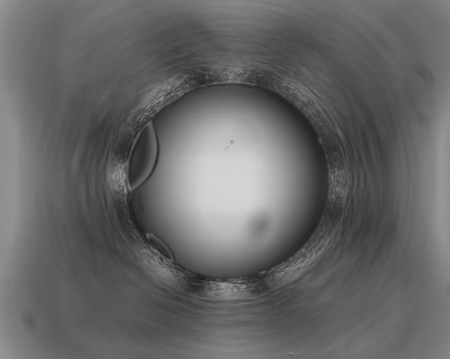 X0000115600286200911101413