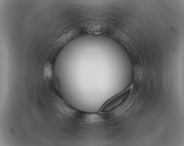 X0000115600287200911101413