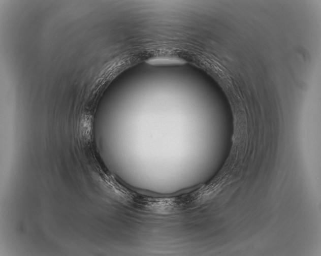 X0000115600288200911101413