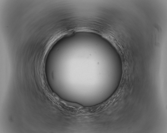 X0000115600289200911101412