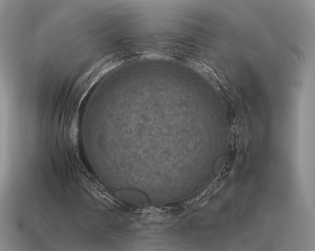 X0000115600290200911101412