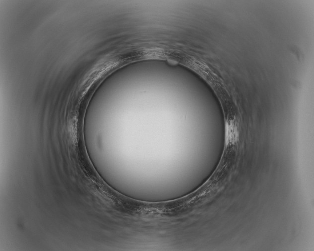 X0000115600291200911101412