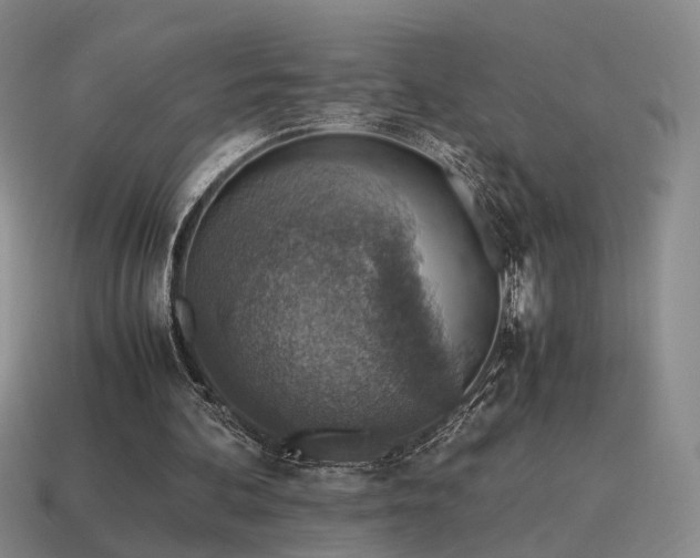 X0000115600292200911101412