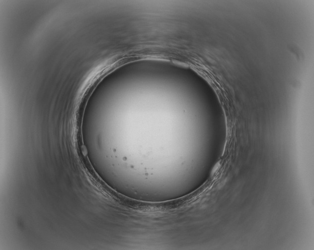 X0000115600293200911101412