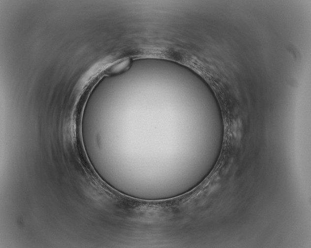 X0000115600294200911101412