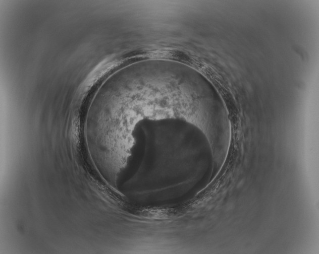 X0000115600295200911101412