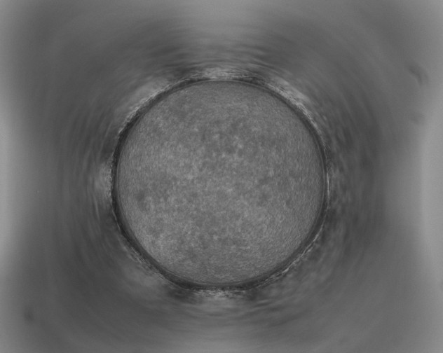 X0000115600297200911101412