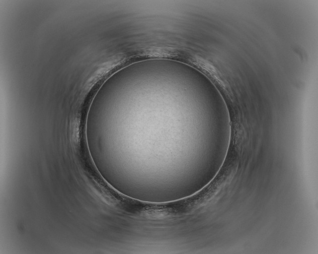 X0000115600299200911101412