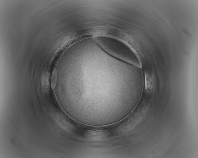 X0000115600300200911101412