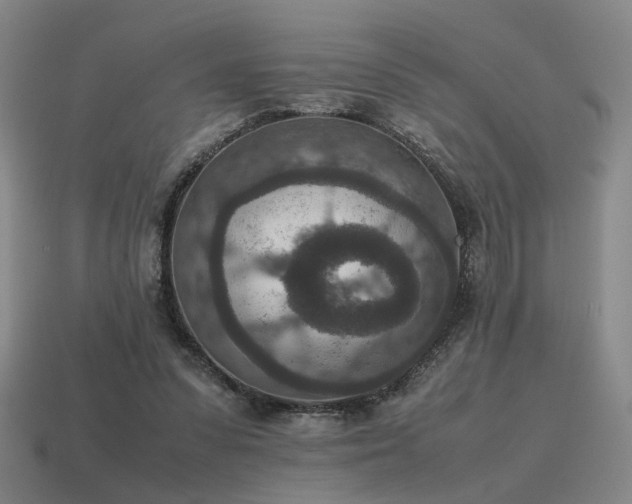 X0000115600303200911101412