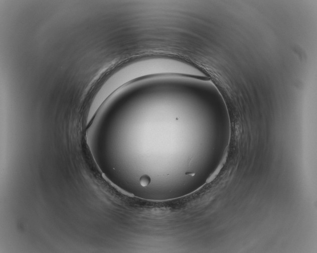 X0000115600304200911101412