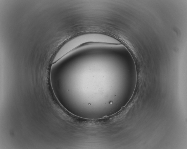 X0000115600305200911101412