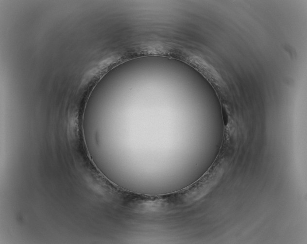 X0000115600306200911101412