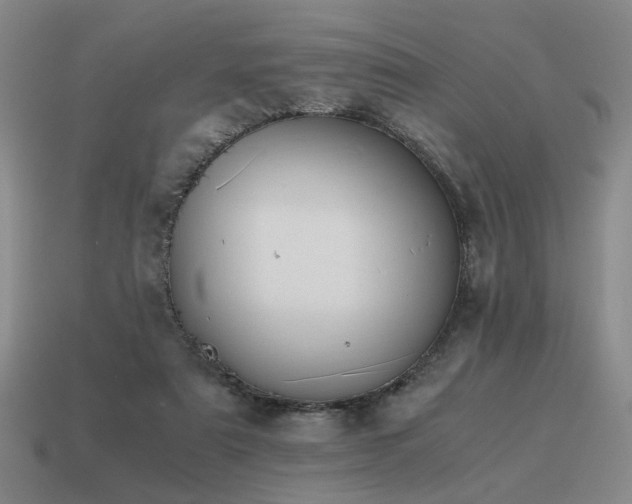 X0000115600307200911101412