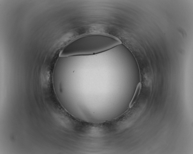 X0000115600308200911101412