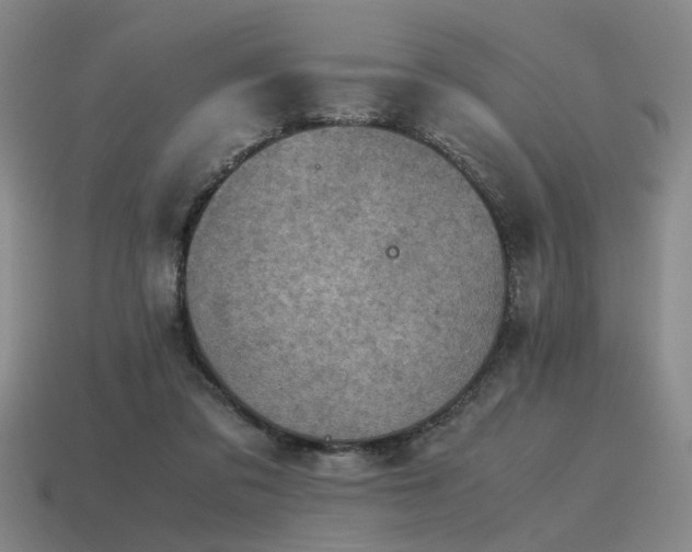 X0000115600309200911101412