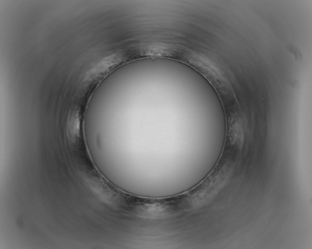 X0000115600310200911101412