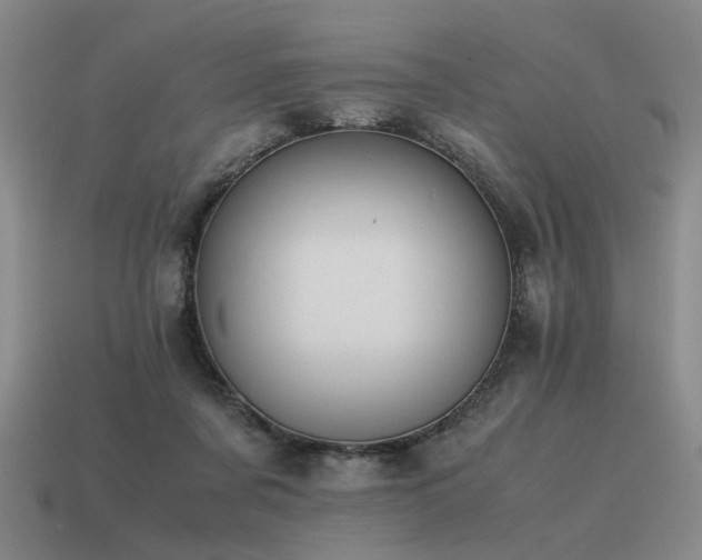 X0000115600311200911101412