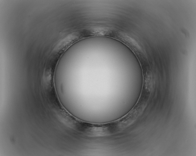 X0000115600314200911101412