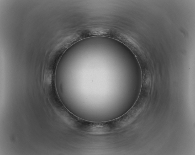 X0000115600315200911101412