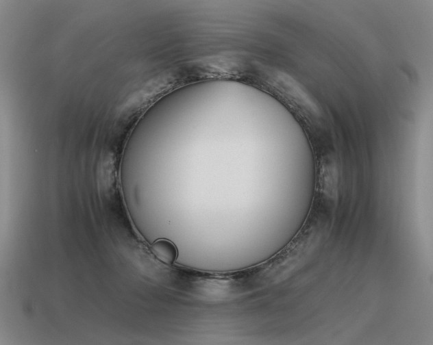 X0000115600318200911101412